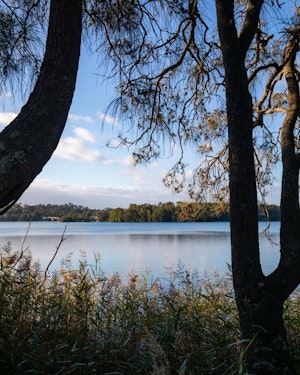 Narrabeen Lagoon Loop