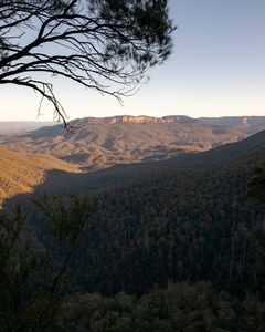 Overcliff-Undercliff Track