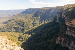 Overcliff Walk Loop Track