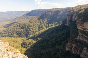 Overcliff Walk Loop Track