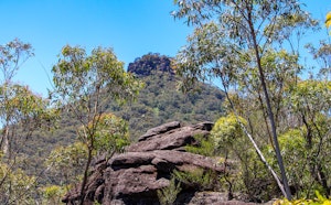 Pigeon House Walking Track
