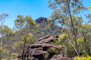 Pigeon House Walking Track