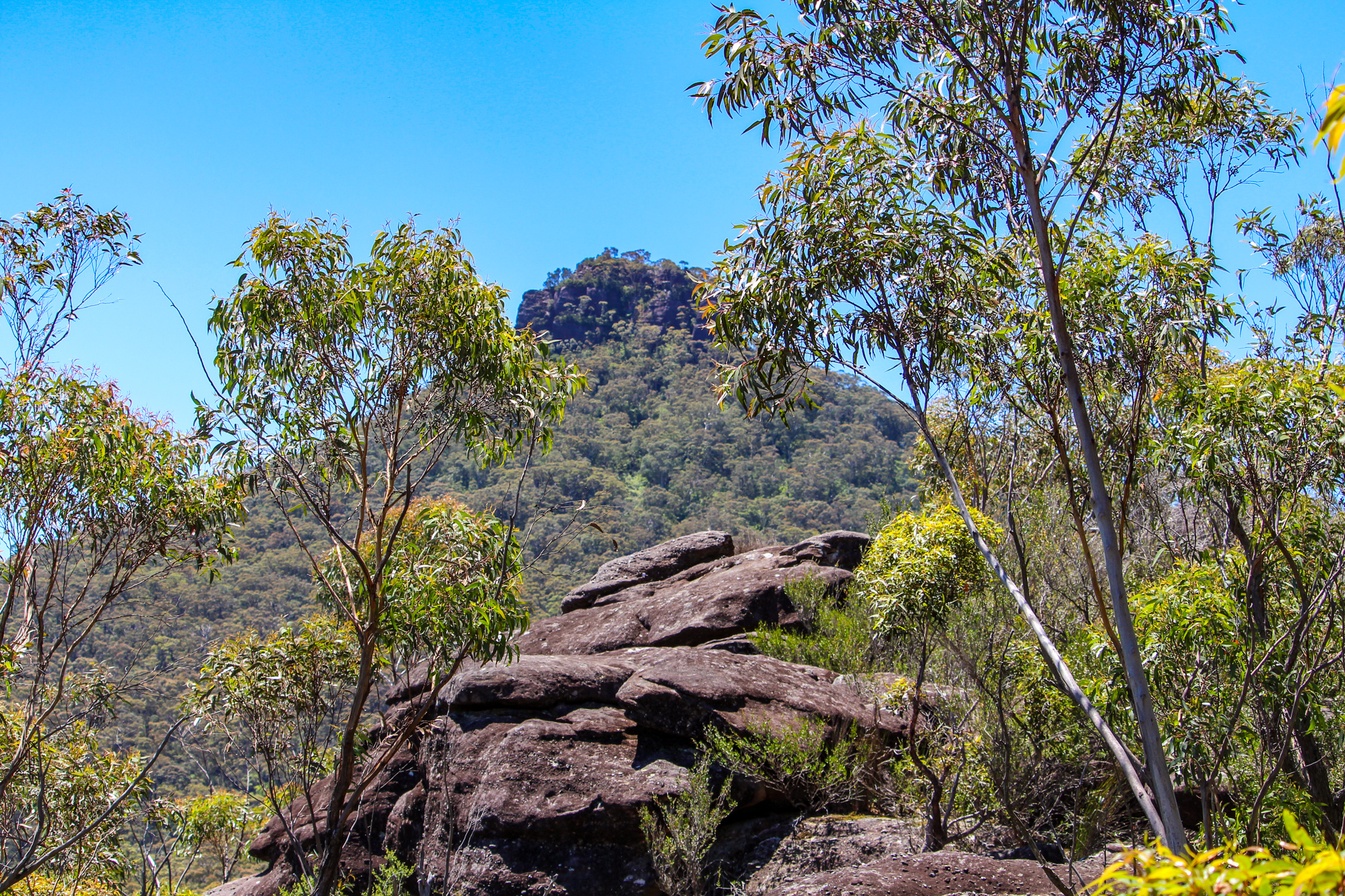 Pigeon House Walking Track