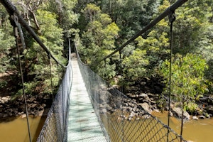 Piles Creek Loop