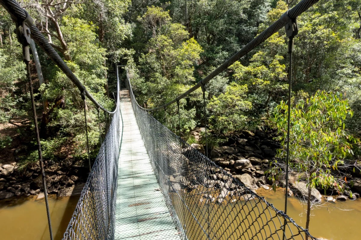 Piles Creek Loop