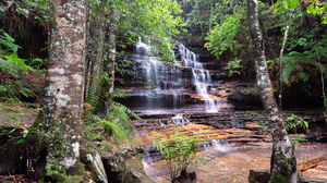 South Lawson Waterfall Circuit