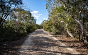 Sphinx Memorial to Bobbin Head Loop Track