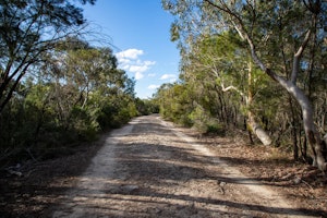 Sphinx Memorial to Bobbin Head Loop Track