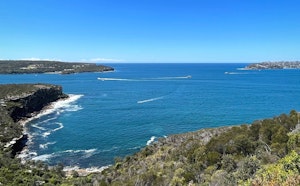 Spit Bridge to Manly Walk