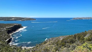 Spit Bridge to Manly Walk