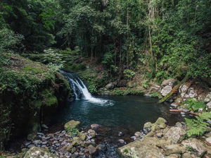 Border Track and Box Forest Circuit