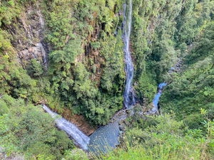 Coomera Circuit Walk