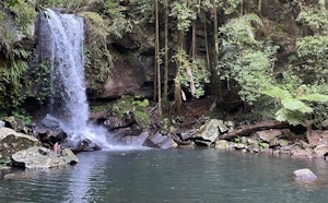 Curtis Falls and Lower Creek Circuit