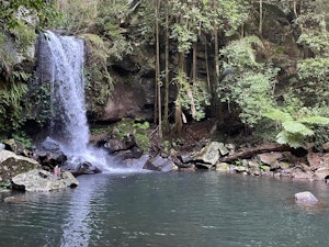  Curtis Falls and Lower Creek Circuit