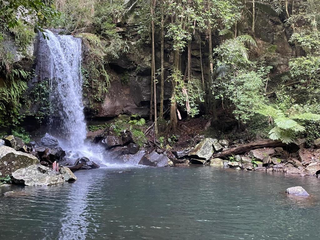 Curtis Falls and Lower Creek Circuit - Randonnée Hika