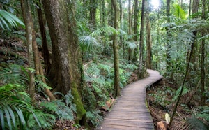 D'Aguilar National Park Combo Loop