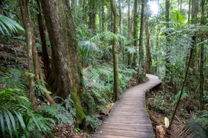 D'Aguilar National Park Combo Loop
