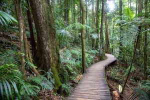 D'Aguilar National Park Combo Loop