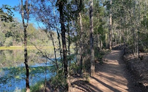 Enoggera Reservoir Loop