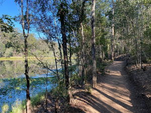Enoggera Reservoir Loop