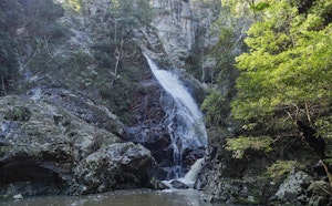 Flaxton Walkers Camp and Baxter Falls