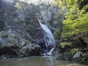 Flaxton Walkers Camp and Baxter Falls