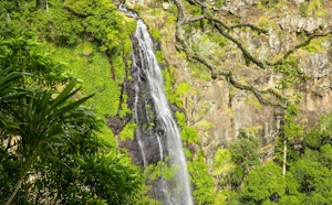 Morans Falls