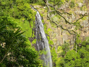Morans Falls
