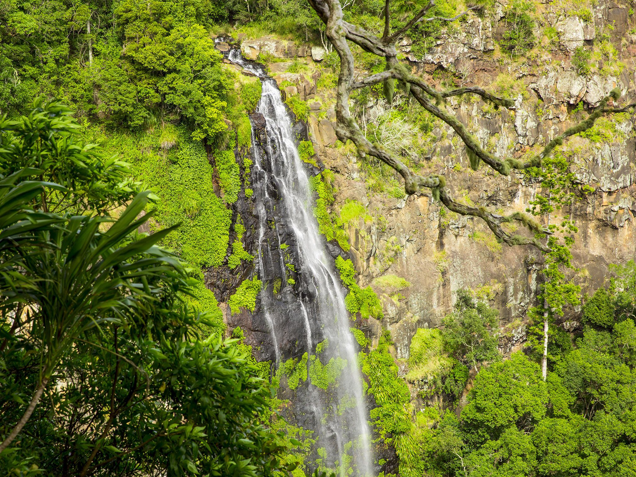 Morans Falls