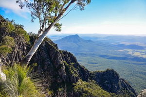Mount Barney South East Ridge and Peasants Ridge