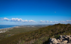 Mount Coolum Track