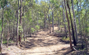 Mount Coot-tha Reserve