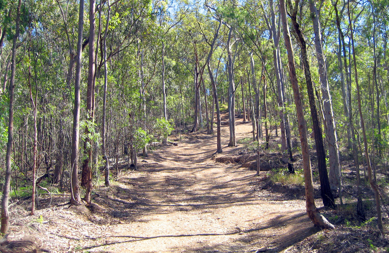 Mount Coot-tha Reserve