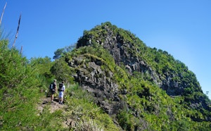 Mount Cordeaux Track