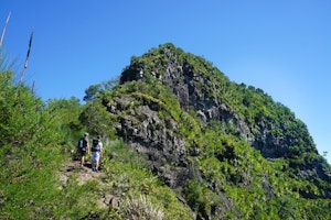 Mount Cordeaux Track