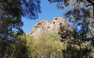 Mount Tibrogargan Summit