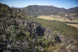 Mount Greville Loop