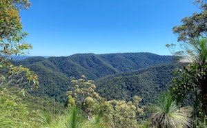 Northbrook Mountain