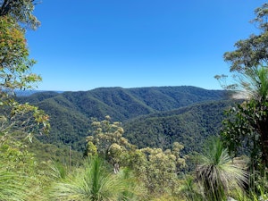 Northbrook Mountain