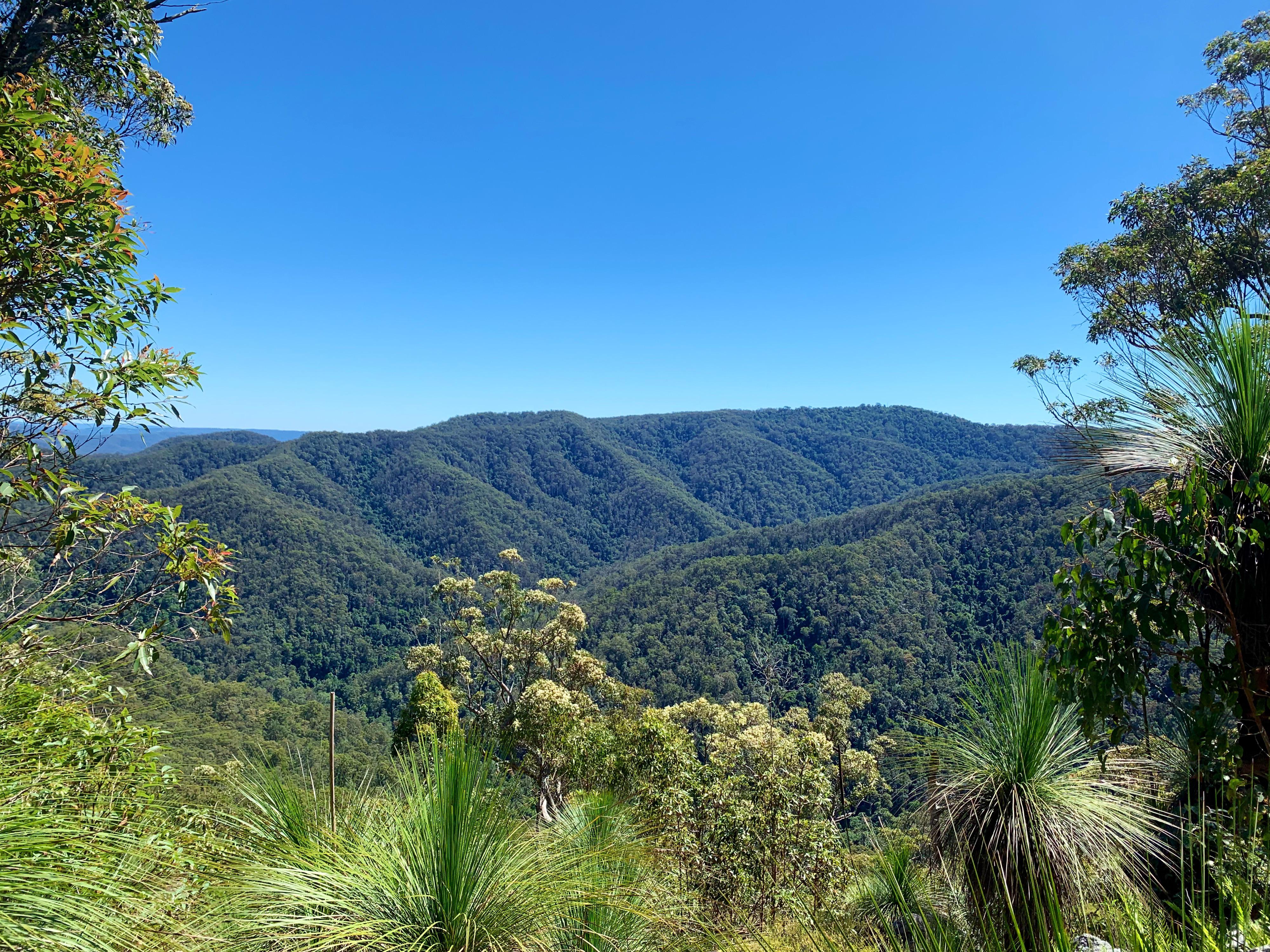 Northbrook Mountain