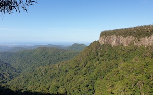 Springbrook Pinnacle Loop