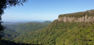 Springbrook Pinnacle Loop