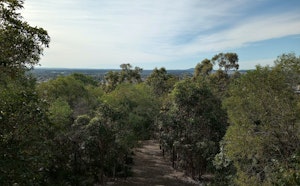 Toohey and Nathan Ridge Track