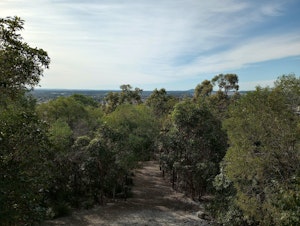 Toohey and Nathan Ridge Track