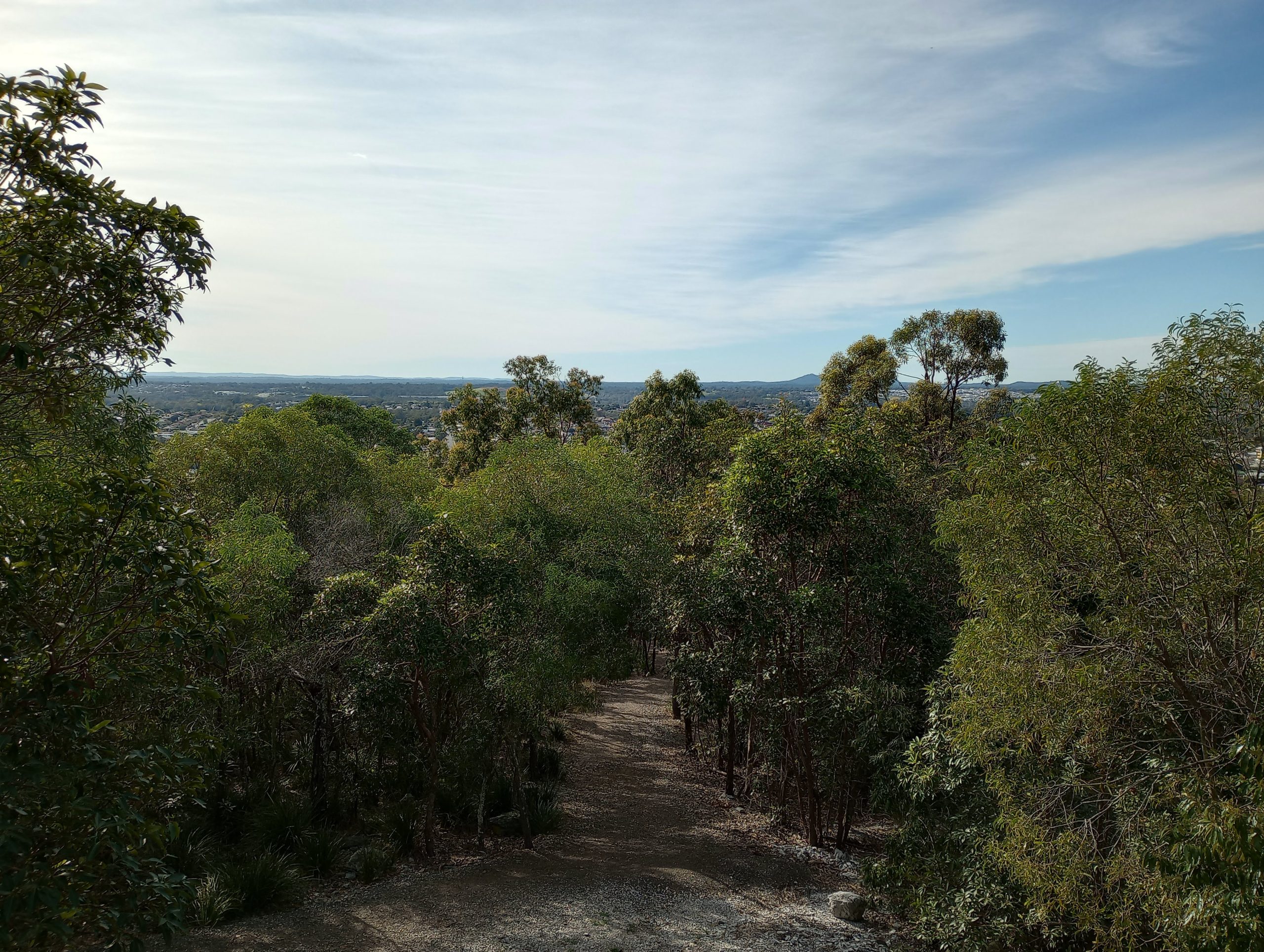 Toohey and Nathan Ridge Track