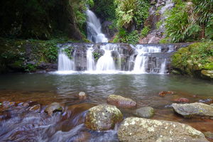 Toolona Creek Circuit