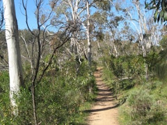 Belair Waterfall Walk
