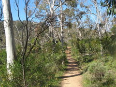 Belair Waterfall Walk