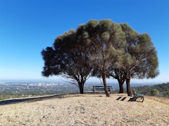 Chambers Gully and Sugarloaf Hill Trails 