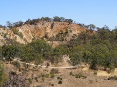 Yellowtail Loop